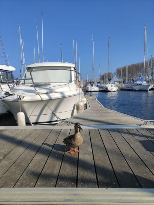 Hotel Nuit Insolite Sur L'Eau Au Port De Ouistreham Exteriér fotografie